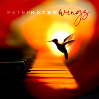 Peter Kater - Wings