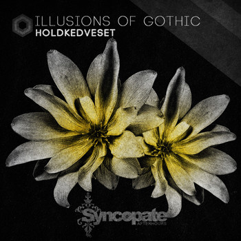 Holdkedveset - Illusions Of Gothic