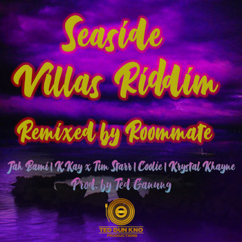 Various Artists - Seaside Villas Riddim