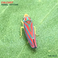Calcast - Rebel Rhythm