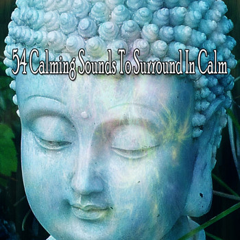 Zen Meditation and Natural White Noise and New Age Deep Massage - 54 Calming Sounds to Surround in Calm
