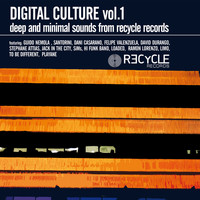 Various Artists - Digital Culture Vol. 1