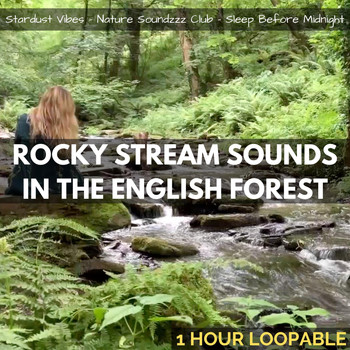 Stardust Vibes, Sleep Before Midnight & Nature Soundzzz Club - Rocky Stream Sounds in the English Forest: One Hour (Loopable)