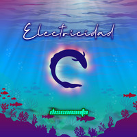Disconauta - Electricidad