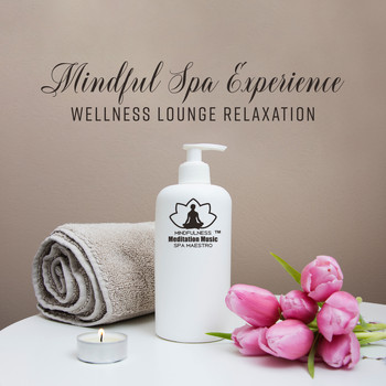 Mindfulness Meditation Music Spa Maestro - Mindful Spa Experience - Wellness Lounge Relaxation, Oasis of Calmness, Soft Touch of Nature
