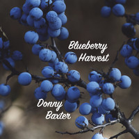 Donny Baxter - Blueberry Harvest