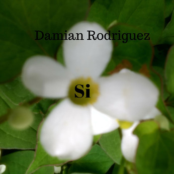 Damian Rodriguez - Si
