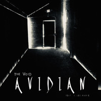 AVIDIAN - The Void. (Remixes)