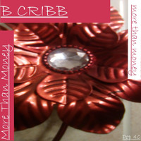 B Cribb - More Than Money