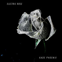 Kade Phoenix - Electric Rose