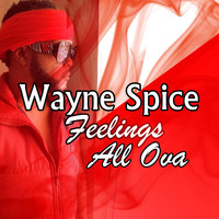 Wayne Spice - Feelings All Ova
