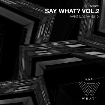 Various Artists - Say What?, Vol. 2
