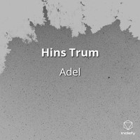 Adel - Hins Trum