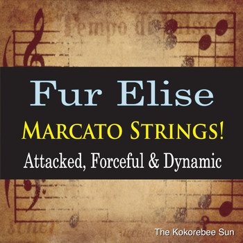 The Kokorebee Sun - Fur Elise Marcato Strings! (Attacked, Forceful & Dynamic)