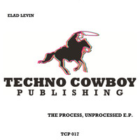 Elad Levin - The Process, Unprocessed E.P.