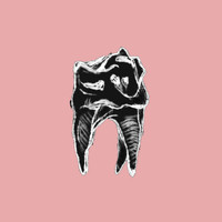 Fauna - Kaliko
