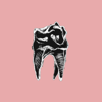 Fauna - Kaliko