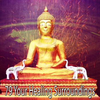 Ambient Forest - 79 Your Healing Surroundings