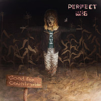 Perfect Wig - Good for Countryside (Explicit)