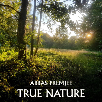 Abbas Premjee - True Nature