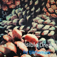 Tjörnemark - Invisible Dream