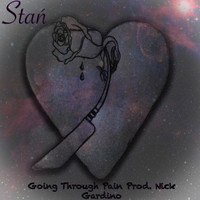 Stan - Going Through Pain