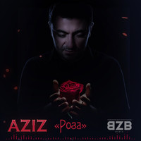 Aziz - Роза