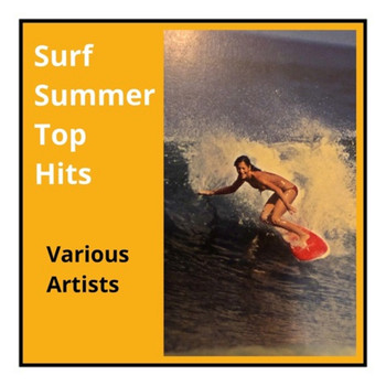 Various Artists - Surf Summer Top Hits
