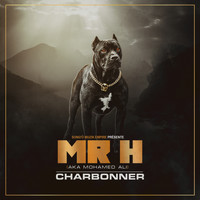 Mr H - Charbonner