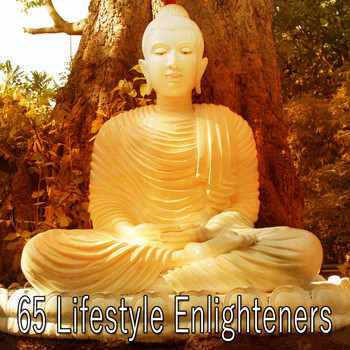 Ambient Forest - 65 Lifestyle Enlighteners