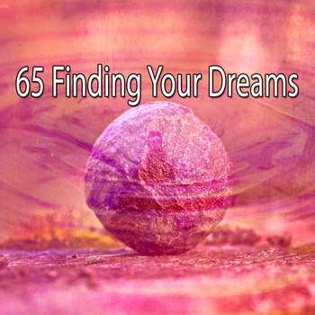 Brain Study Music Guys - 65 Finding Your Dreams