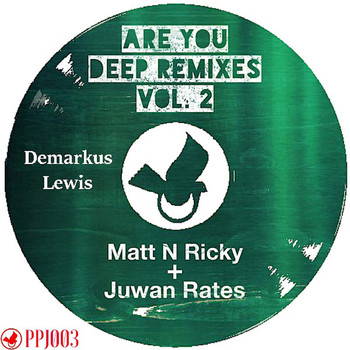 Demarkus Lewis - Are You Deep Remixes, Vol. 2