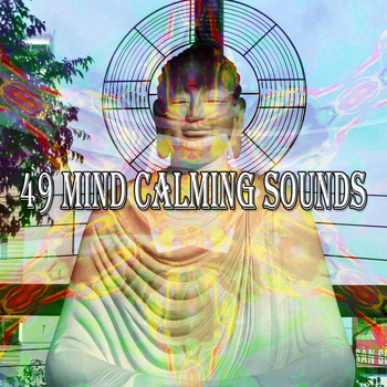 Zen Meditation and Natural White Noise and New Age Deep Massage - 49 Mind Calming Sounds