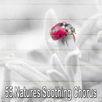 Spa - 55 Natures Soothing Chorus