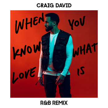 Craig David - When You Know What Love Is (R&B Remix)