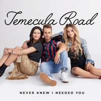 Temecula Road - Never Knew I Needed You