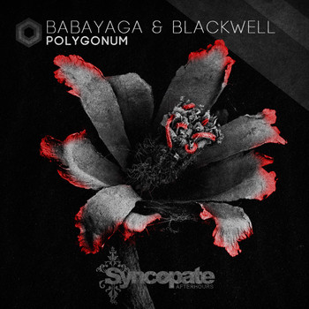 Babayaga, Josh Blackwell - Polygonum