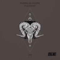 Markus Homm - Pleasure