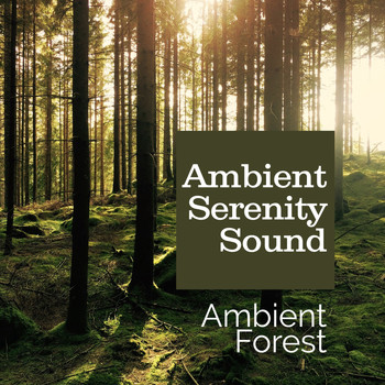 Ambient Forest - Ambient Serenity Sound