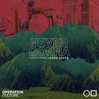 Operation Culture - Never Gonna (feat. J. Sales)
