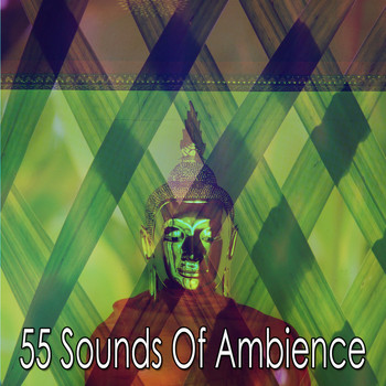 Zen Meditation and Natural White Noise and New Age Deep Massage - 55 Sounds of Ambience