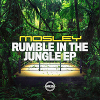 Mosley - Rumble In The Jungle