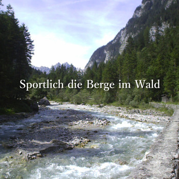Various Artists - Sportlich Die Berge Im Wald (About 30 Electronic Tracks)