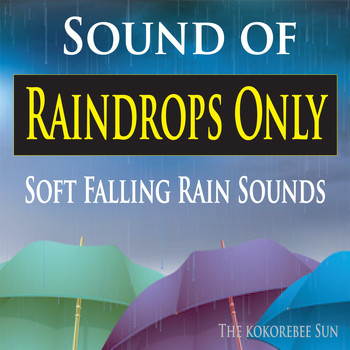 The Kokorebee Sun - Sound of Raindrops Only (Soft Falling Rain Sounds)