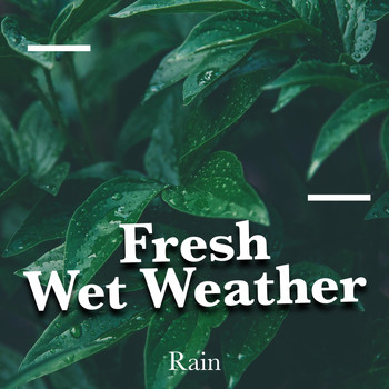Rain - Fresh Wet Weather