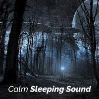 Binaural Sleep Collective - Calm Sleeping Sound