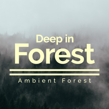 Ambient Forest - Deep in Forest