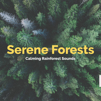 Calming Rainforest Sounds - Serene Forests