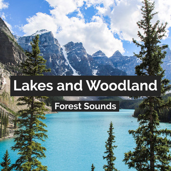 Forest Sounds - Lakes and Woodland
