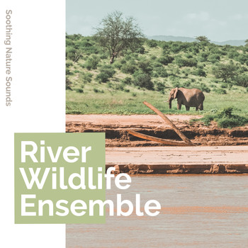 Soothing Nature Sounds - River Wildlife Ensemble
